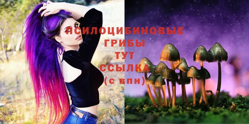 ОМГ ОМГ рабочий сайт  Лукоянов  Галлюциногенные грибы Psilocybe 